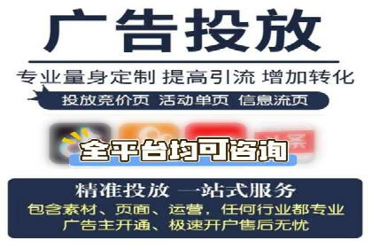 某公司通过百度竞价实现业务快速增长的案例